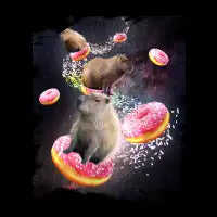 Space Capybara Riding Donut - design
