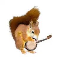 Squirrel Playing Banjo - design