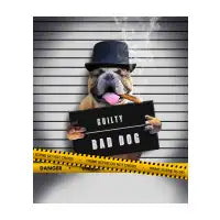 Thug Bulldog - design