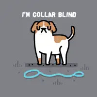 Collar Blind - design