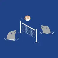 Ocean Volleyball - design