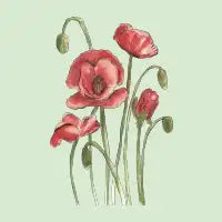 Red Poppy Flowers Watercolor Painting - design