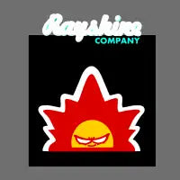 RAYSHINE COMPANY TEE - design