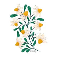 Duck Egg Daisies - design