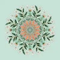 Floral Mandala - design