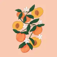 Summer Peaches - design