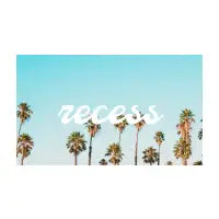 Recess Palm Tree Logo - design