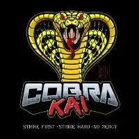 Cobra kai - design