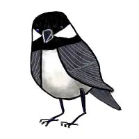 Backyard Buddy - design