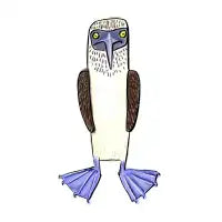 Blue Footed Booby - design