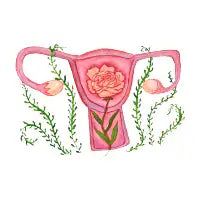 Lady Garden Rose - design