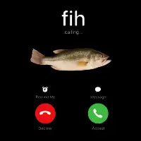Fih Calling Meme - design