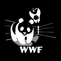 PANDA WWF - design