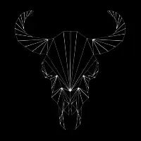Taurus - design