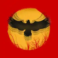 Thunderbird - design
