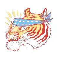 Stars and Stripes - design
