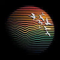 eternal migration - design