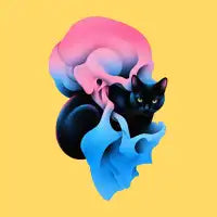 NINE LIVES, ONE ENDING 04 - design