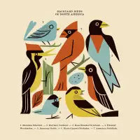 Backyard Birds Guide - design