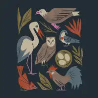 Bird Friends - design
