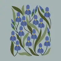 Blue Iris - design