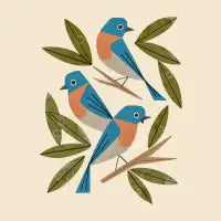 Bluebirds - design