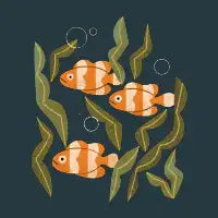 Clownfish - design