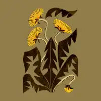 Dearest Dandelion - design