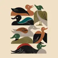 Ducks In A Row - design