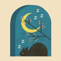 Evening Catnap - design