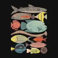 Fish Crowd No. 2 - design