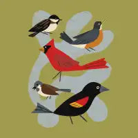 Five Birds - design