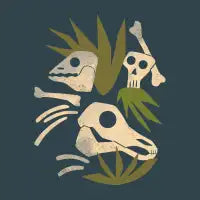Fossils - design