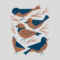 Hello Songbirds - design