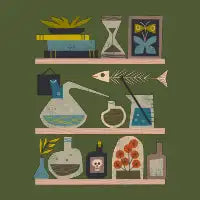 Laboratory Shelves - design