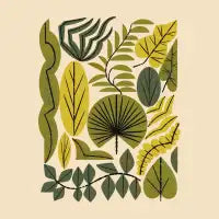 Leaf Collection - design