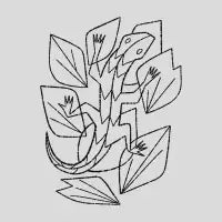 Lizard And Leaves - design