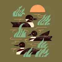 Loons At Dusk - design
