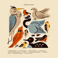 Midwest Birds Guide - design