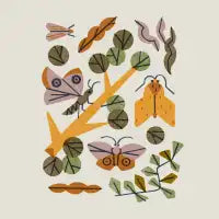 Moth Habitat - design