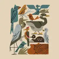 Motley Flock No2 - design