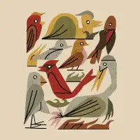 Motley Flock No1 - design