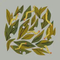 Munching Caterpillars - design