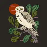 Night Watch Owl - design
