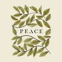 Olive Branch Peace - design