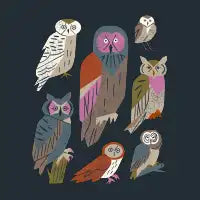 Owl Friends - design