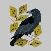 Perching Raven - design