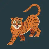 Rawr, Tiger! - design