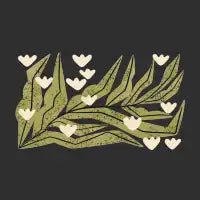 Reaching White Tulips - design