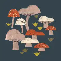 Red And White Toadstools - design